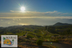 la_palma-12