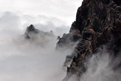 la_palma-26