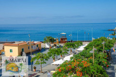 la_palma-33
