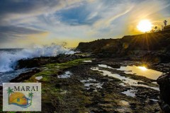marai_1240-2