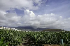 20210919volcan-38