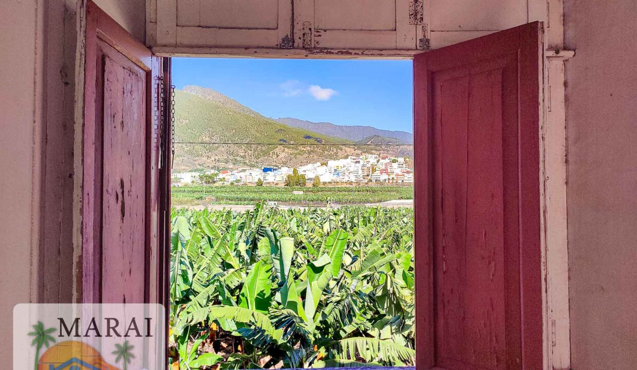 inmobiliaria_argual-5