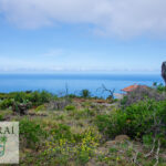 realt estate La Punta