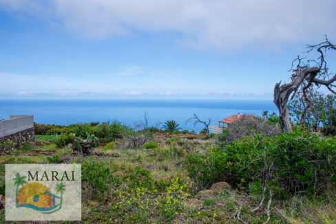 la_punta-2