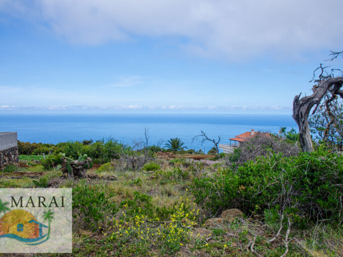 realt estate La Punta