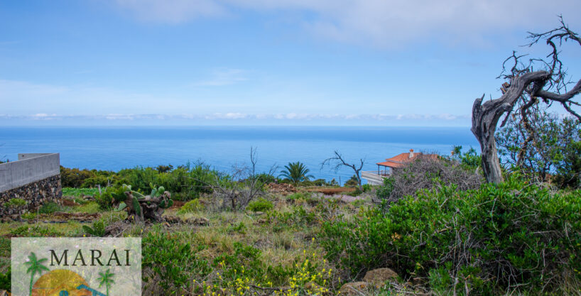 realt estate La Punta