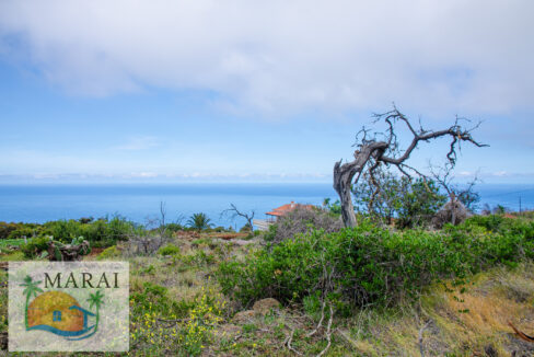 la_punta-3