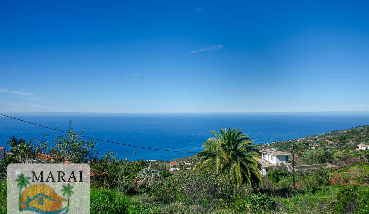 real estate la palma