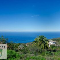 real estate Tijarafe
