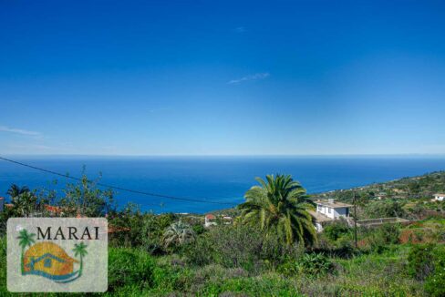 real estate la palma