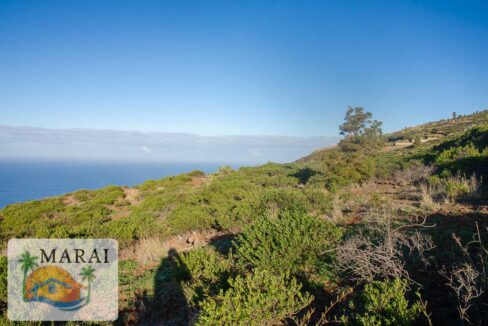 tijarafe-3