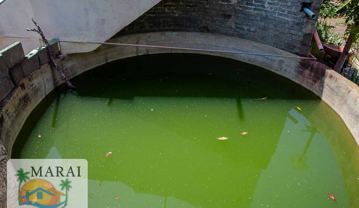 triana-18