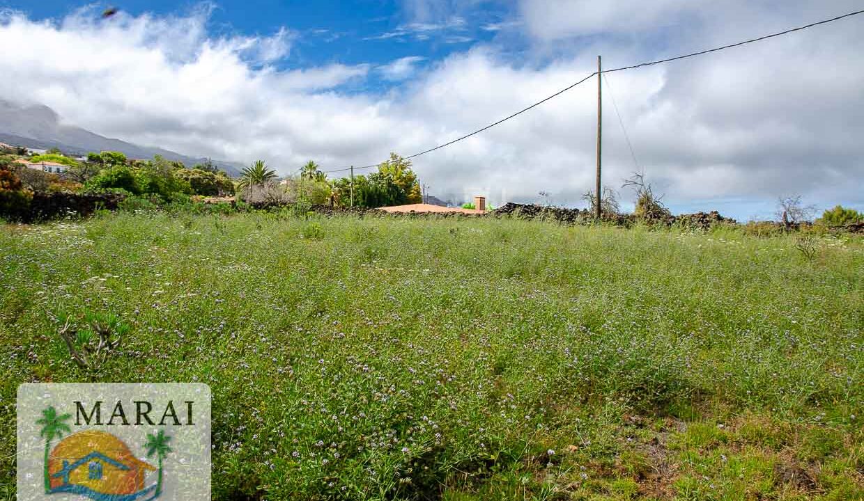 terreno-3