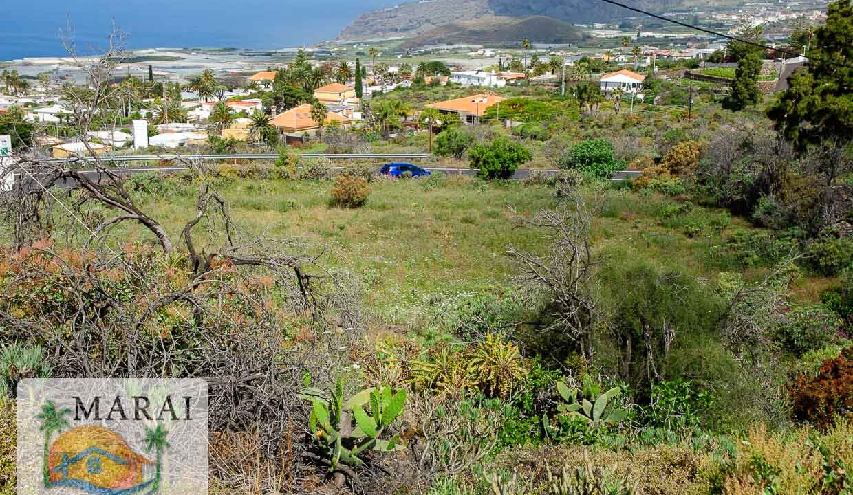 terreno-4