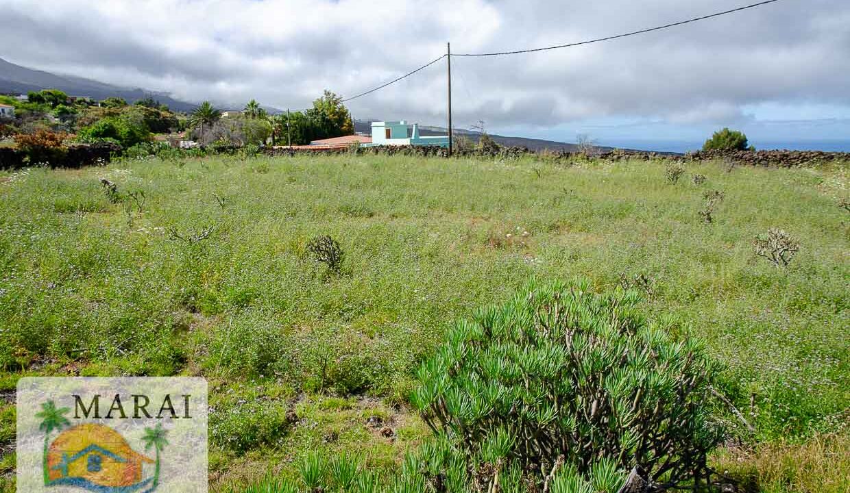 terreno-5