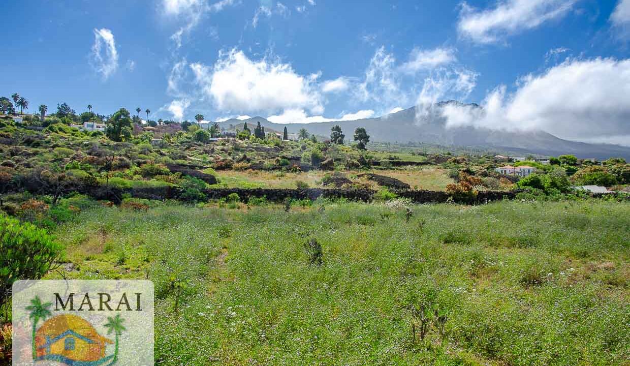 terreno-6