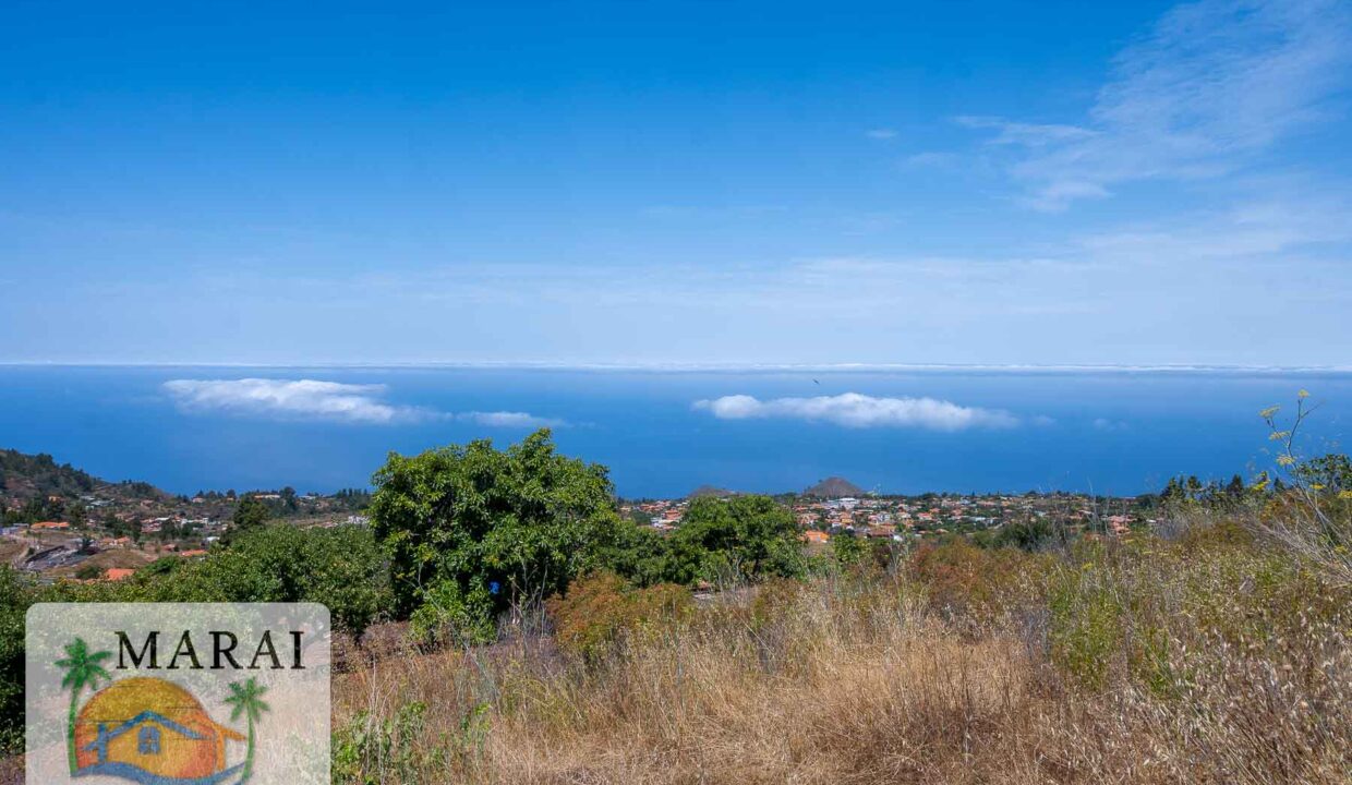 puntagorda-5