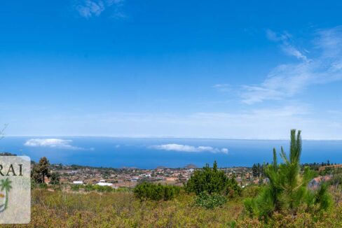 puntagorda-8