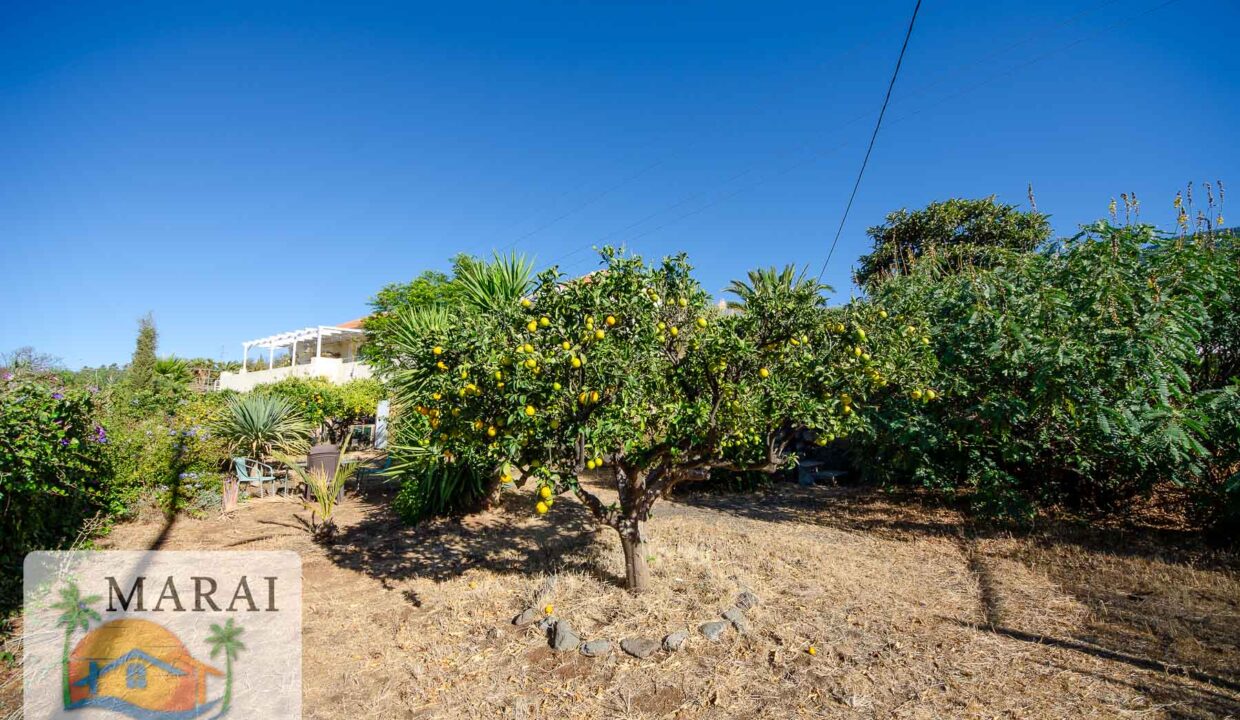 inmobiliaria-10