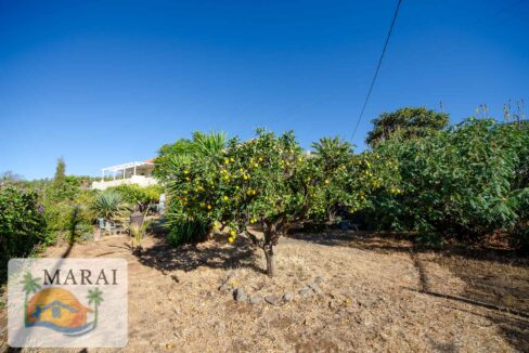 inmobiliaria-10