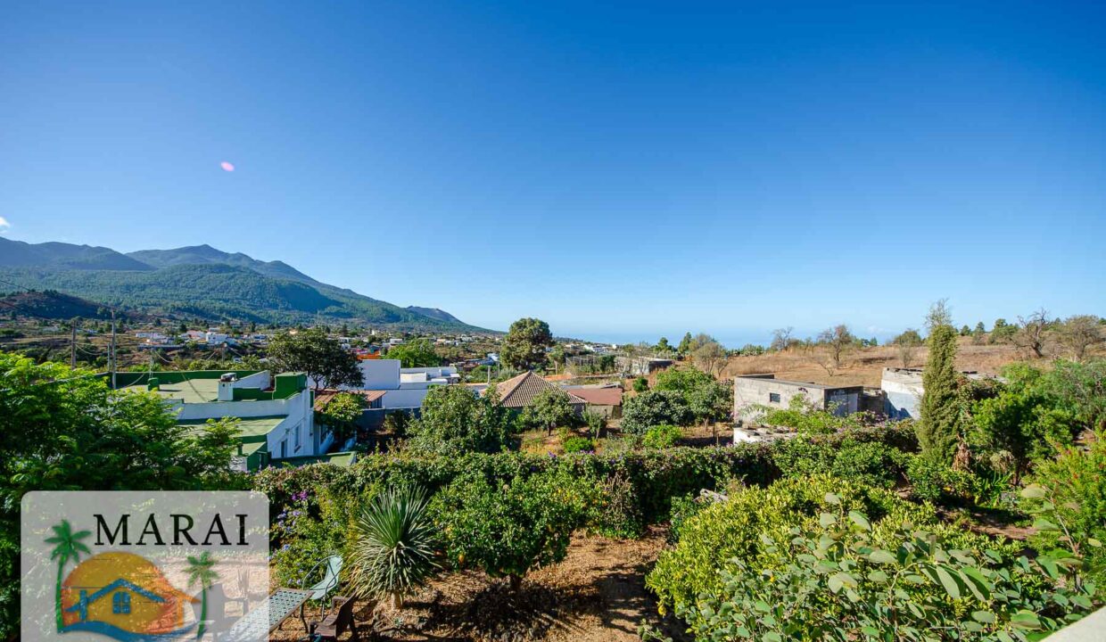 inmobiliaria-2