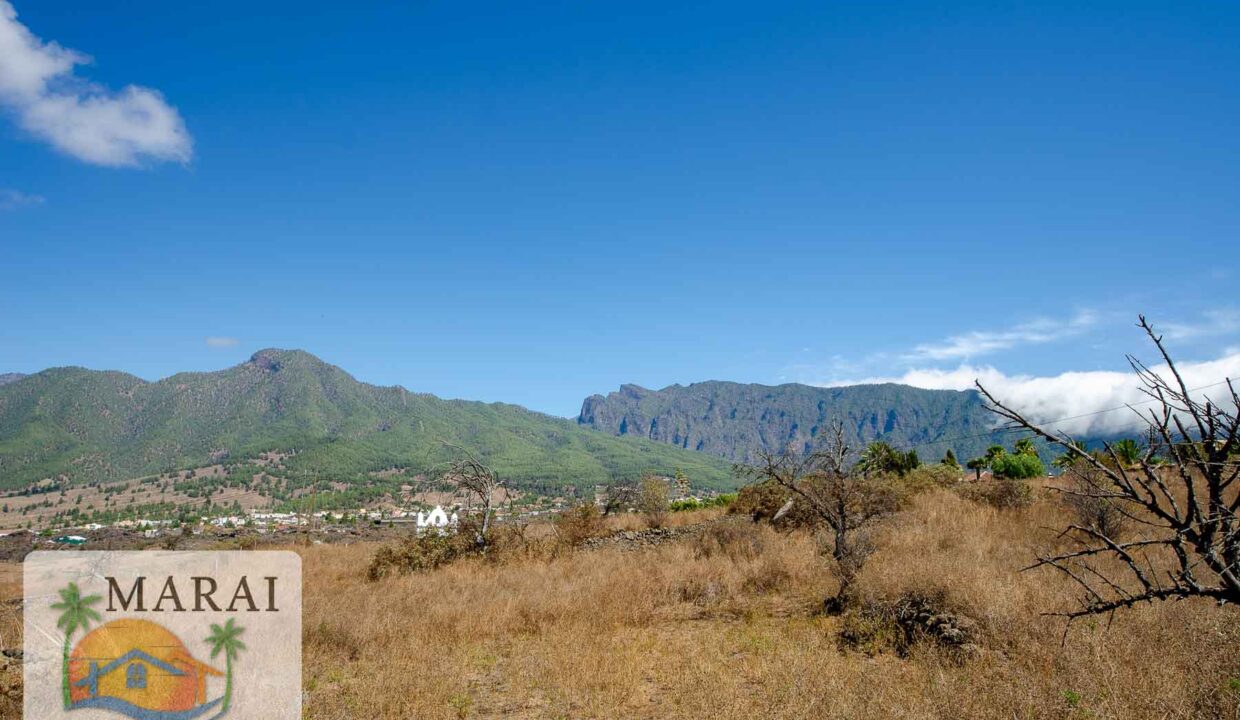 inmobiliaria-33