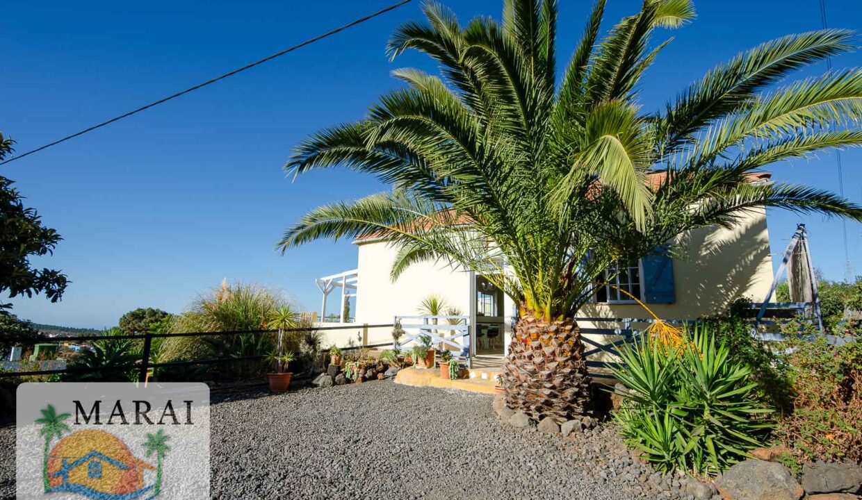 inmobiliaria-4