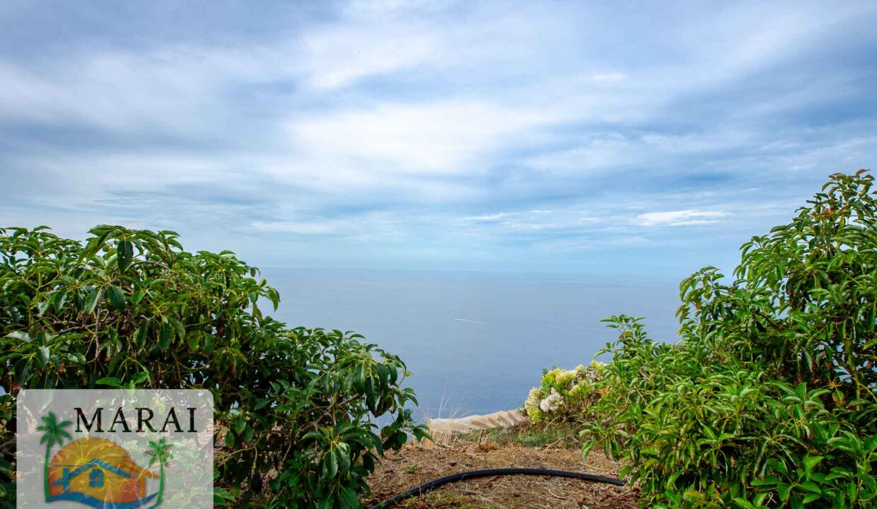 inmobiliaria_Puntagorda-10