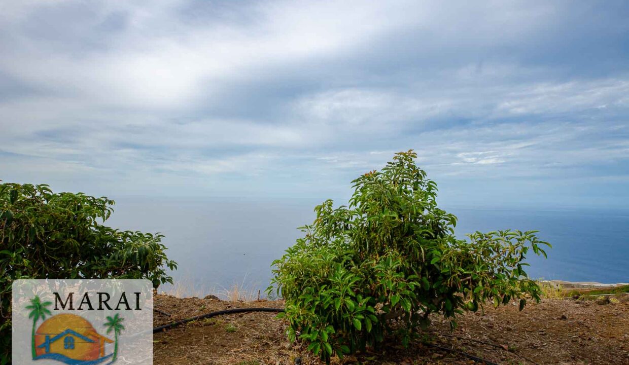inmobiliaria_Puntagorda-14