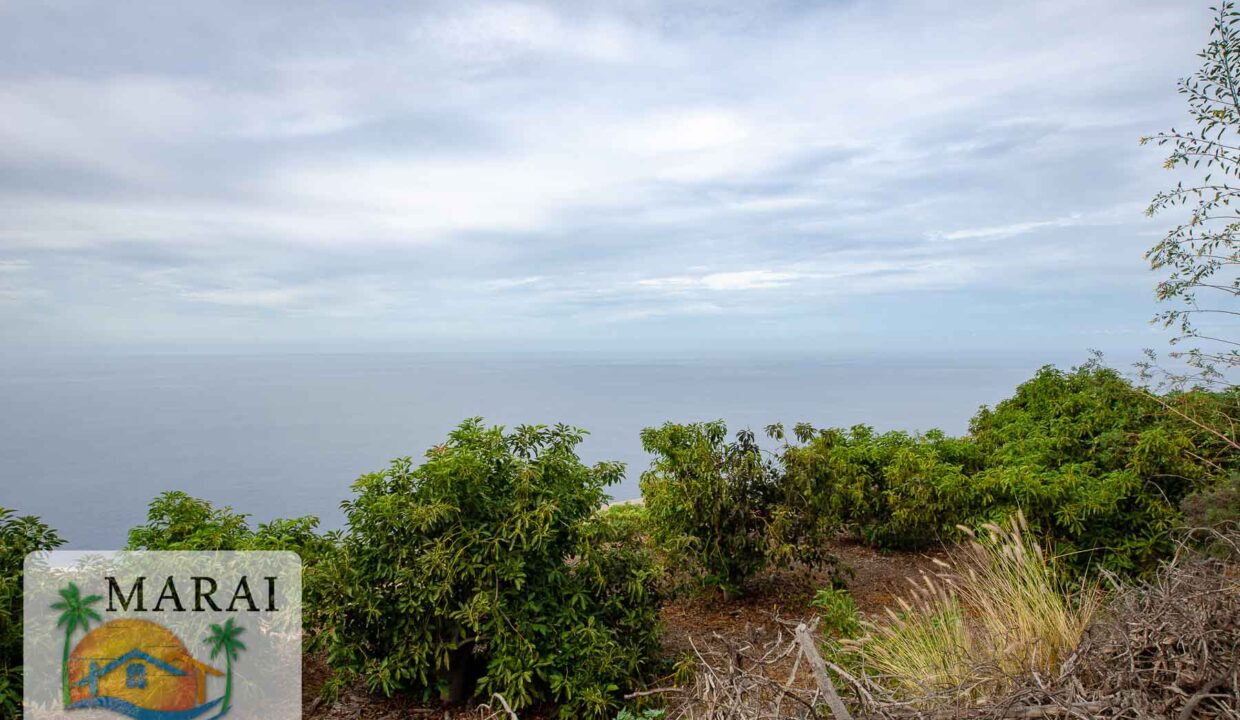 inmobiliaria_Puntagorda-6