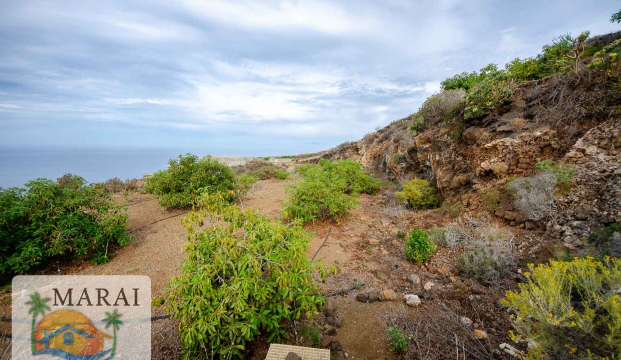 inmobiliaria_Puntagorda-9