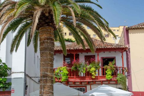 inmobiliaria_santa_cruz-48