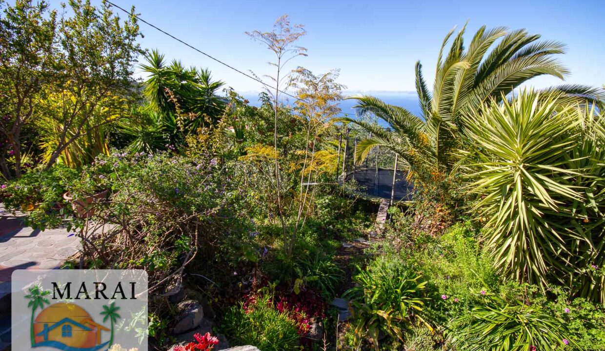 inmobiliaria_tijarafe_barreros-33