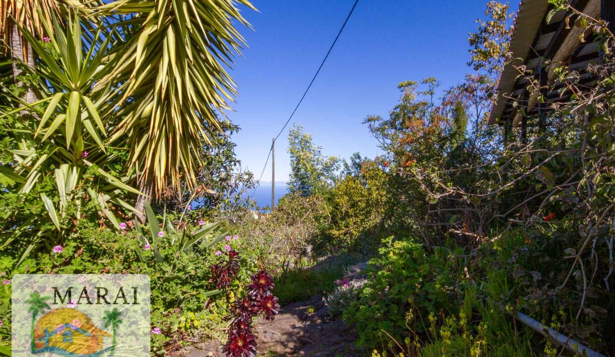 inmobiliaria_tijarafe_barreros-34