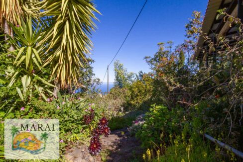 inmobiliaria_tijarafe_barreros-34