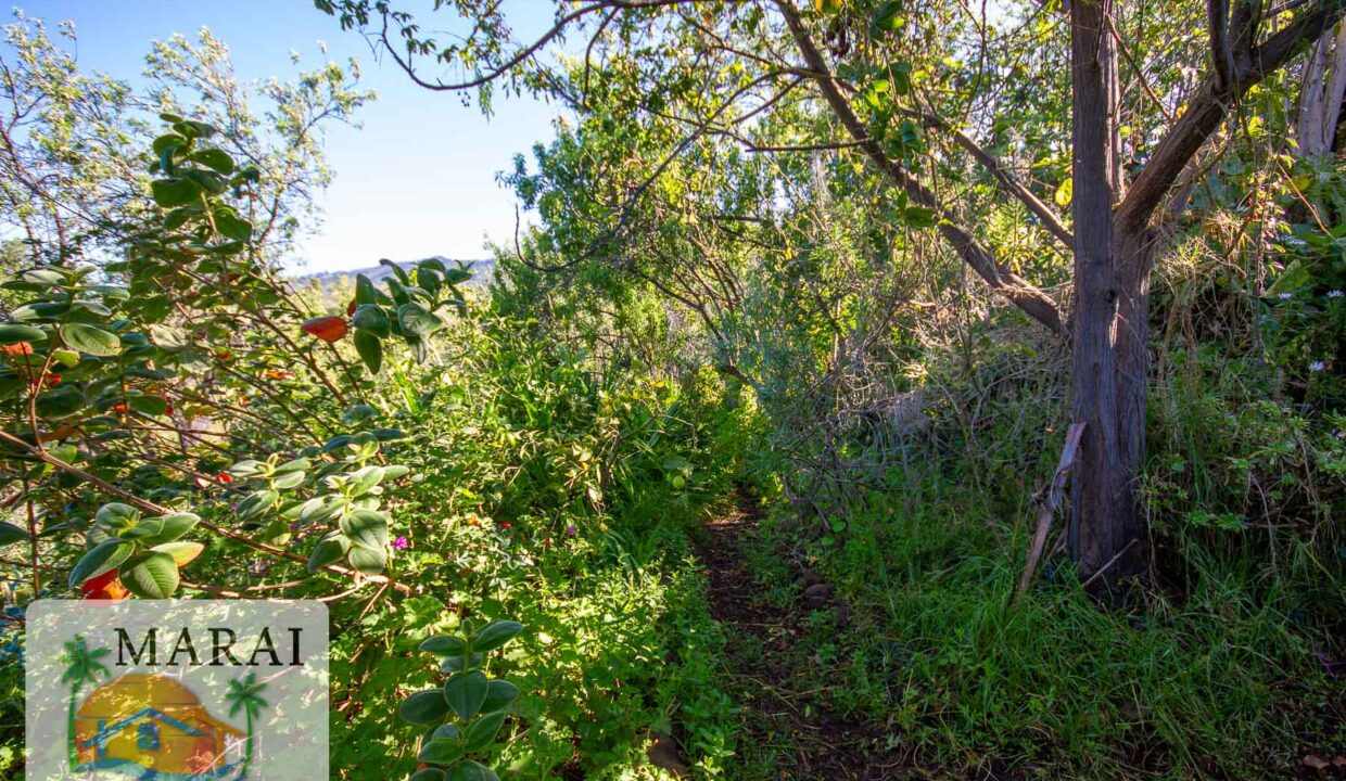 inmobiliaria_tijarafe_barreros-37