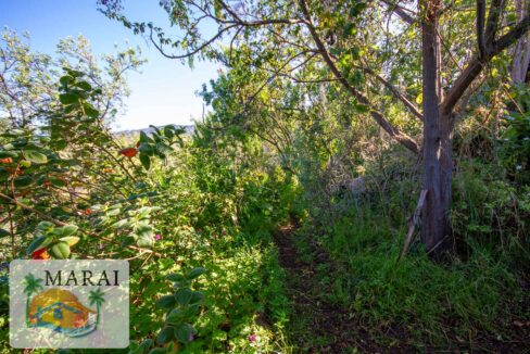 inmobiliaria_tijarafe_barreros-37