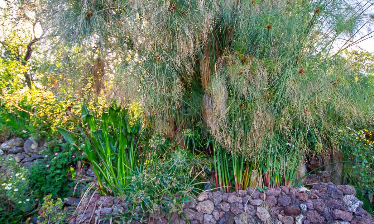 inmobiliaria_tijarafe_barreros-39