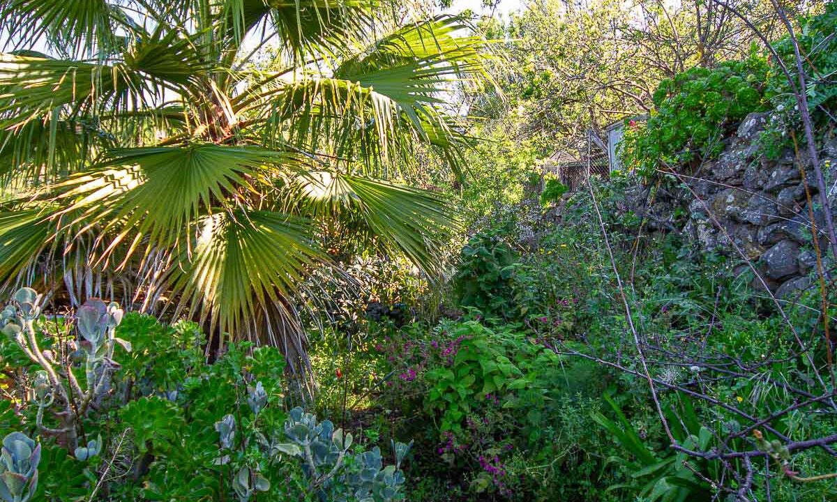 inmobiliaria_tijarafe_barreros-40