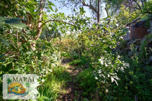 inmobiliaria_tijarafe_barreros-41