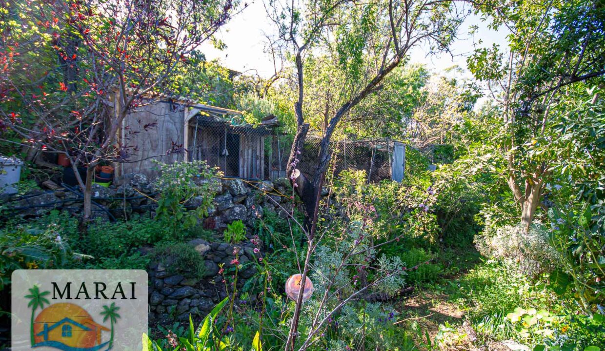 inmobiliaria_tijarafe_barreros-42