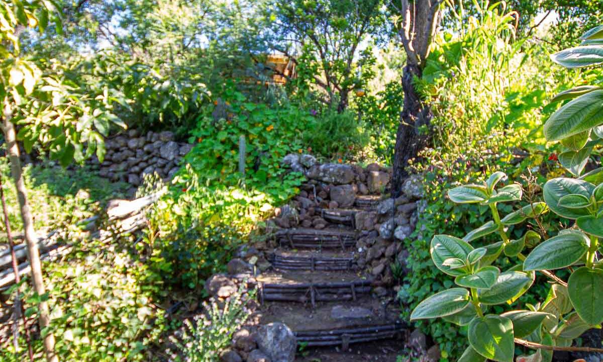 inmobiliaria_tijarafe_barreros-43