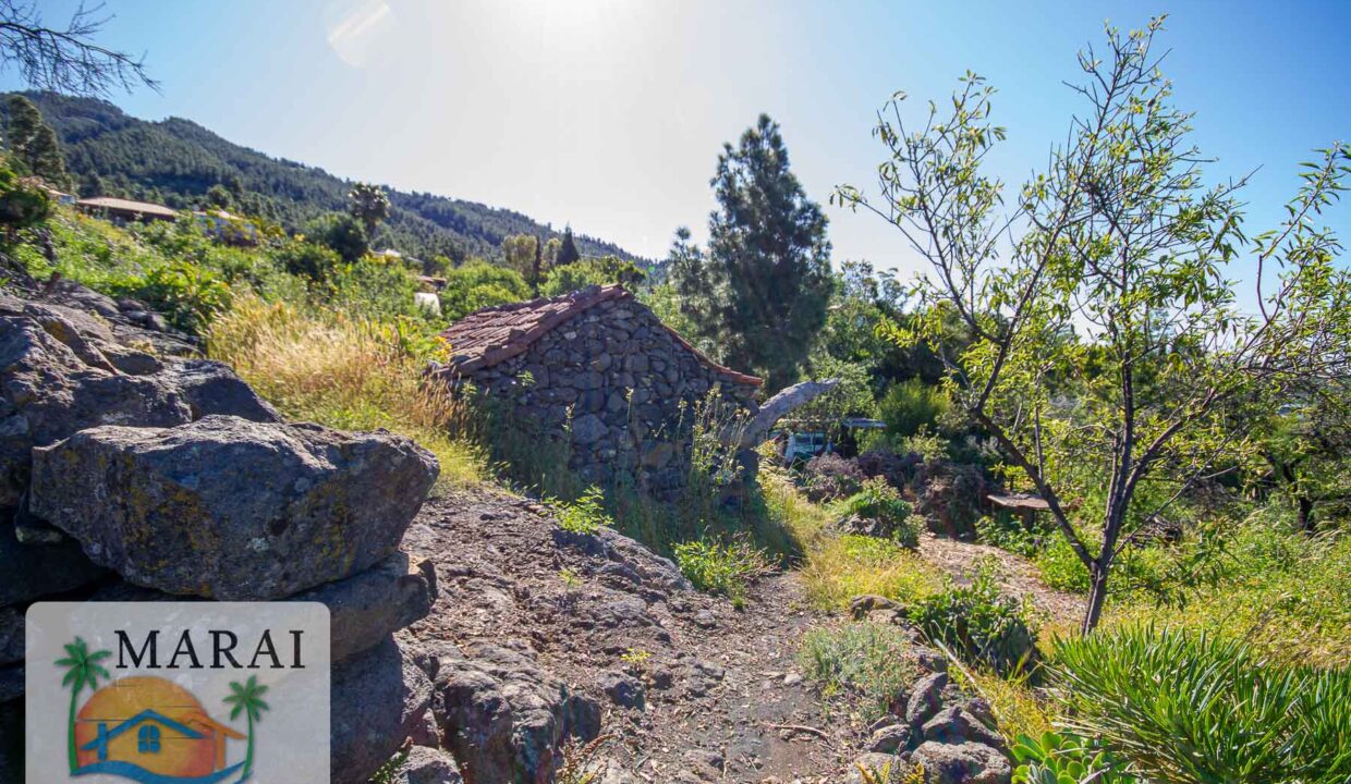 inmobiliaria_tijarafe_barreros-48