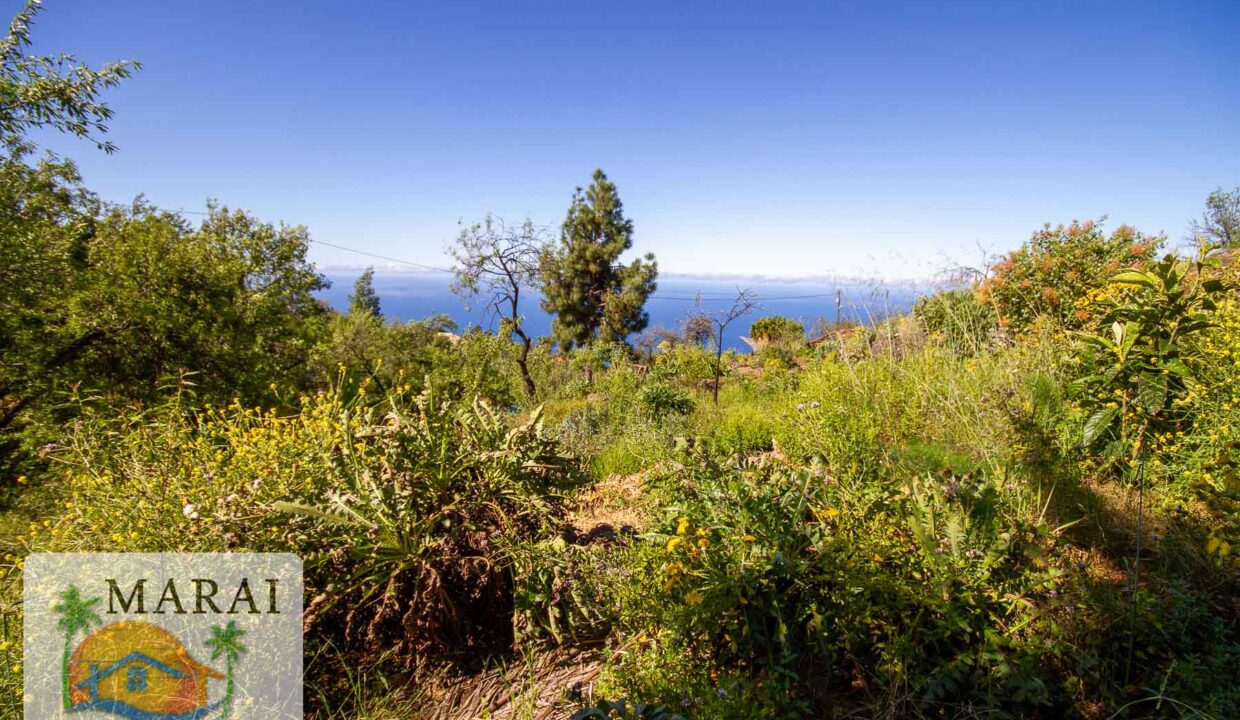 inmobiliaria_tijarafe_barreros-51