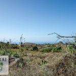 Immobilie Puntagorda