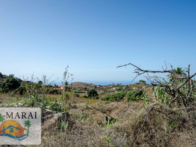 Immobilie Puntagorda