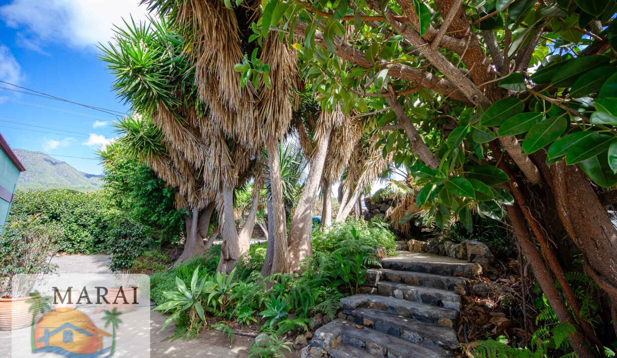 inmobiliaria_argual-3