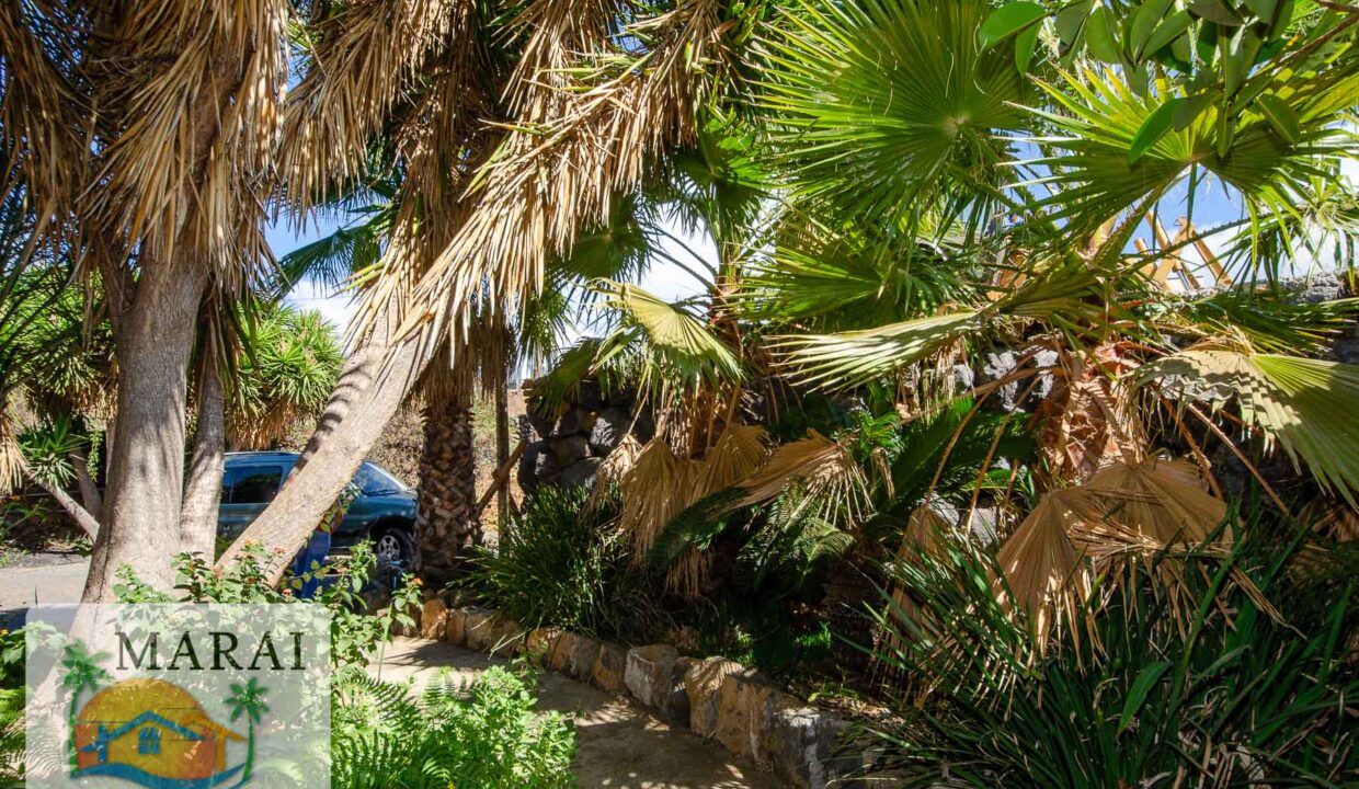 inmobiliaria_argual-33