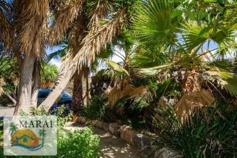 inmobiliaria_argual-33