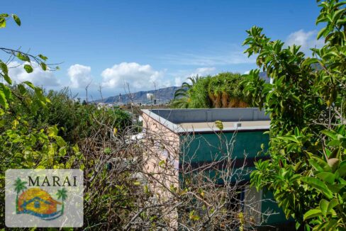 inmobiliaria_argual-35